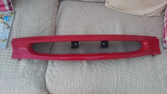front view of debadged rover 100 front grille